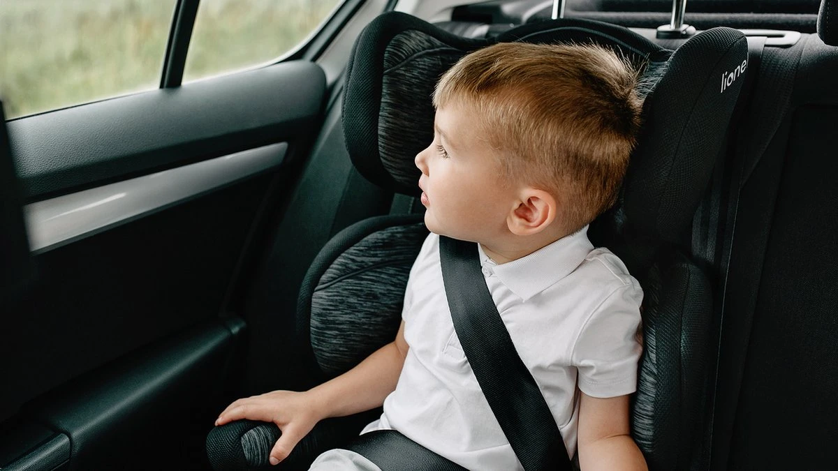 Lionelo Lars - Autostoeltje - ImpactGuard - Extra Spons - Tot 36kg - Afbeelding 3