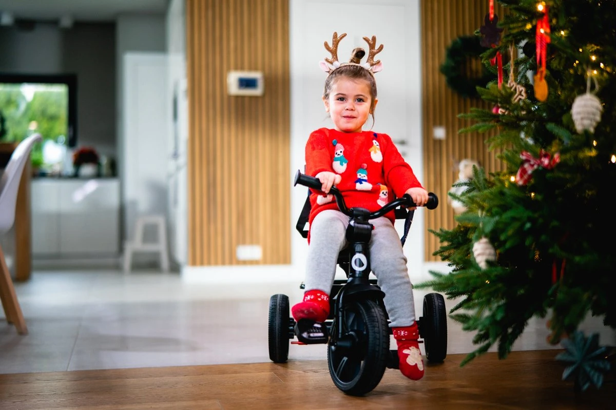 Lionelo Haari - Driewieler - Drankhouder - 2in1 - Tot 36+ - Afbeelding 14